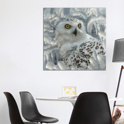Snowy Owl Sanctuary by Collin Bogle - Wrapped Canvas Print