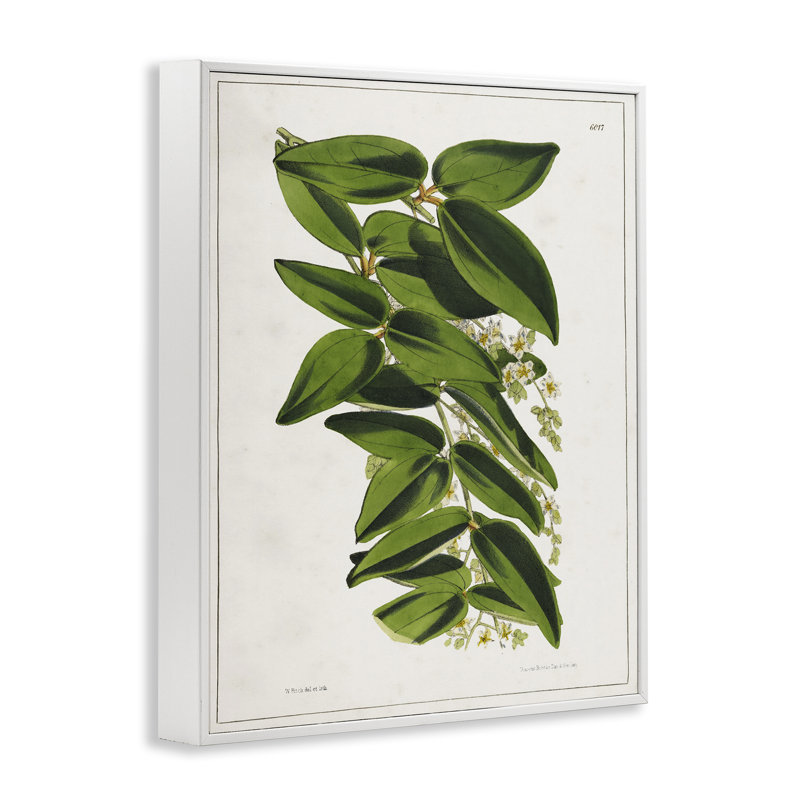 «Giclee Art» par Tina Higgins Designs, Inc., Estampe numérique encadrée blanc bord de mer, H 14 po x l 11 po