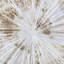Starburst Flair Framed Canvas 1000x1000mm