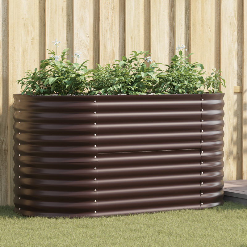 Metal Raised Garden Bed, Brown, 81cm H x 160cm W x 80cm D