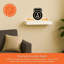 Balwinder Floating Shelf-1540146327-1540146328