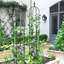6.2ft Black Garden Obelisk Trellis – Plastic, Lightweight Rustproof Tower Trellis With Sword Top For Climbing Plants/flowers