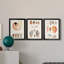Collection de coquillages I - ensemble de 3 peintures sur toile encadrées-515866380-515866379