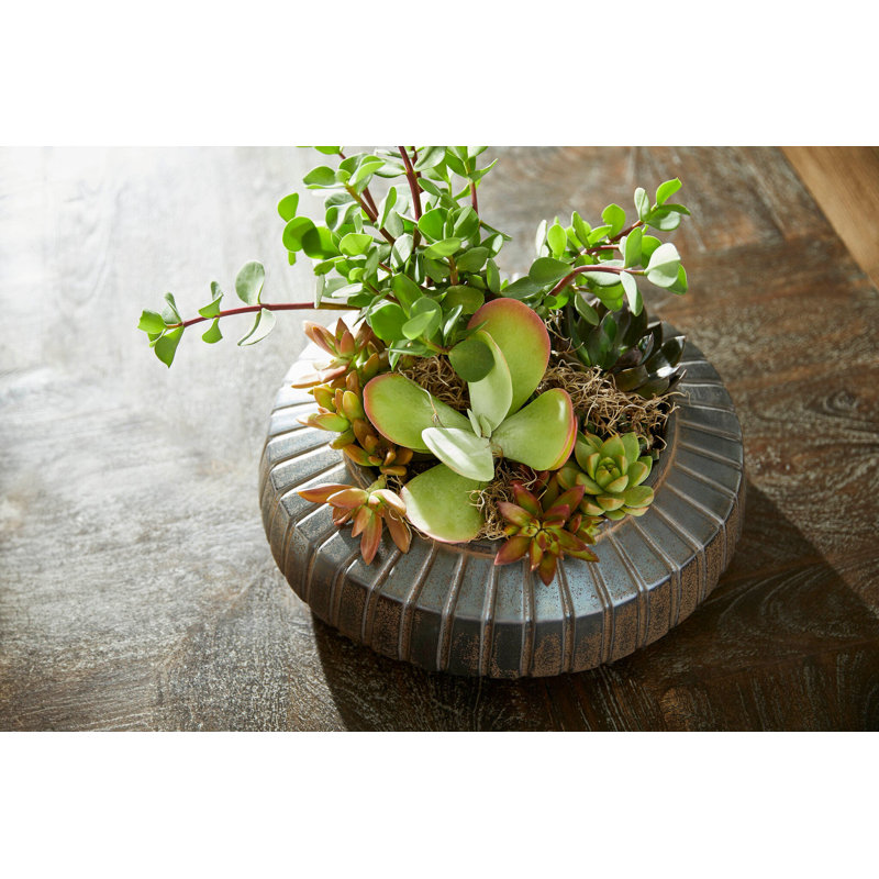 Ribbed Sweater Earthenware Decorative Bowl