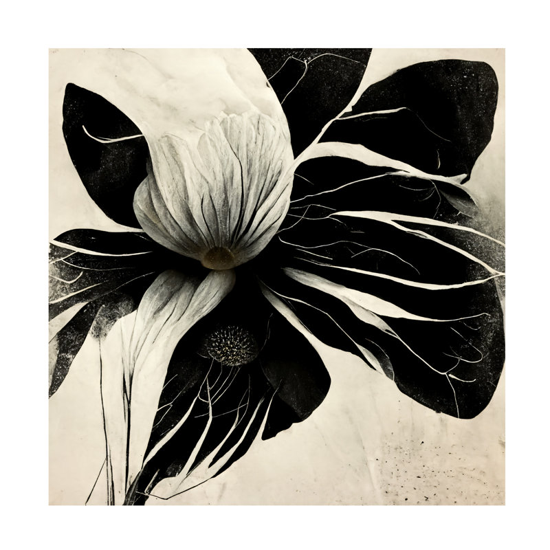 Ray Heere, fleurs, noir et blanc, art sur toile 8, H 14 po x l 14 po x P 2 po
