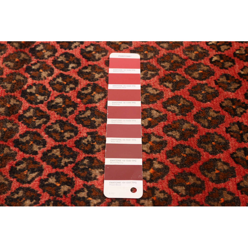 Tapis rouge Andelz 3 pi 5 po x 9 pi 0 po