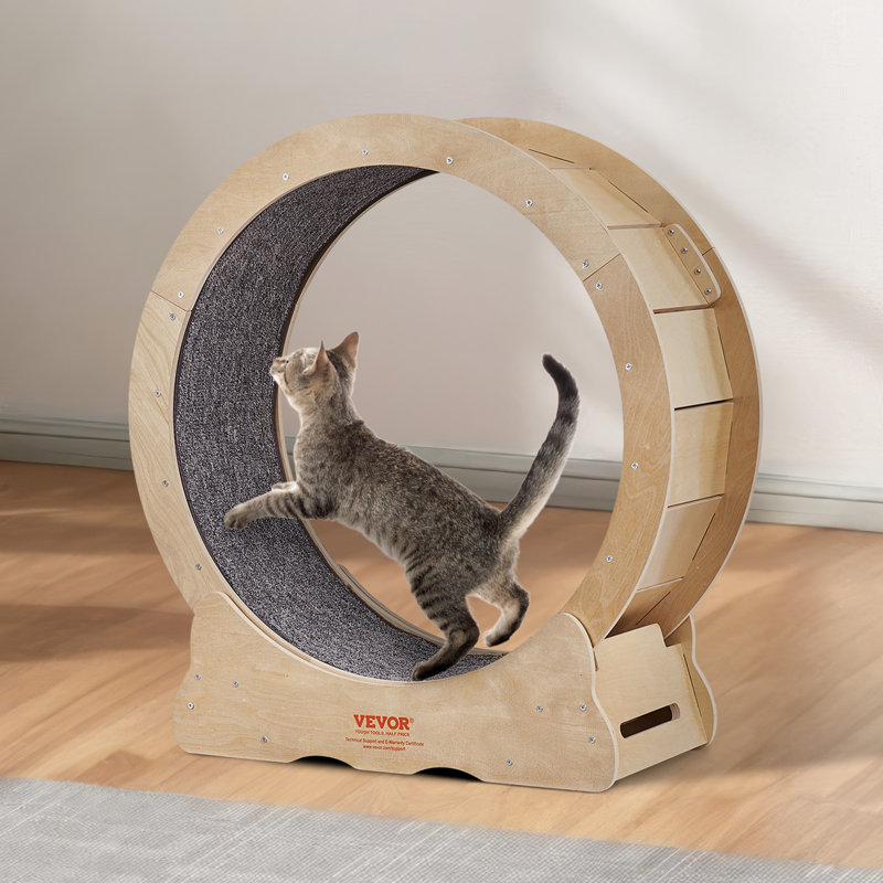 Arbre à chat , Brun, H 31,5 po x l 29,5 po x P 12,6 po