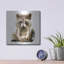 Luxe métal Art «Ricky Racoon» par Kim Curationa, Meta «Ricky Racoon» par Kim Curationa-101680528
