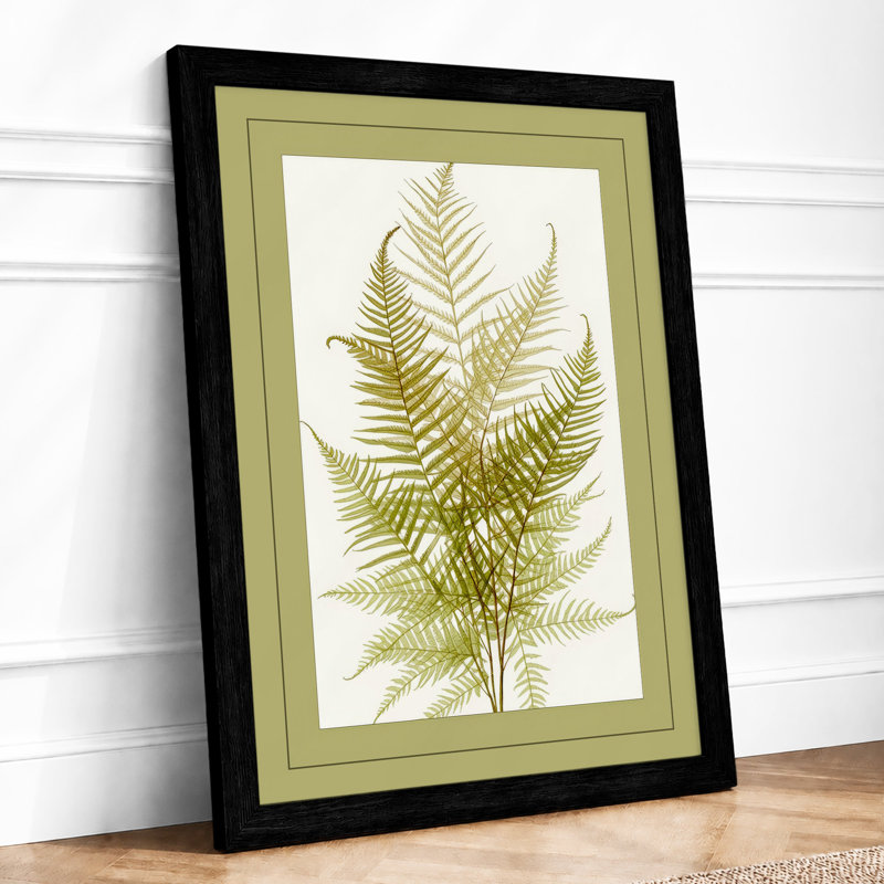 Fern Study In Olive Botanical - Print, A1 - 84.1 x 59.4 cm, Black