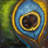 Peacock Feather Closeup | Exotic Framed Matted Print Decor