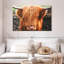 Frange Brampt Highland Cow-107683757