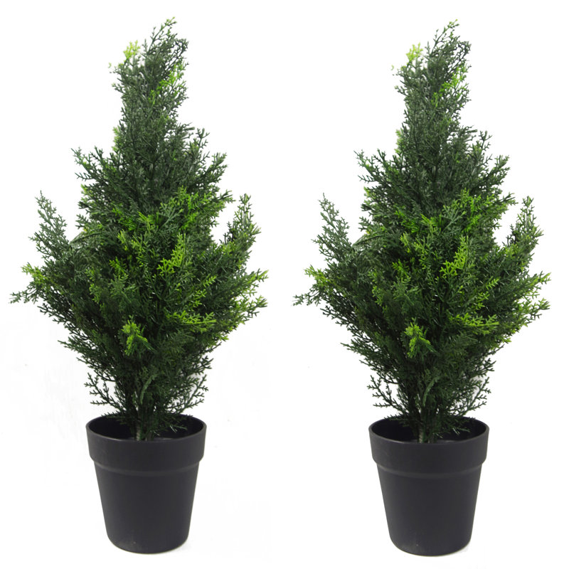 Annistyn Faux Cypress Tree in Pot, 60 cm x 20 cm
