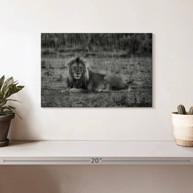 Corbeau lion safari Crowle, H 8 po x l 12 po