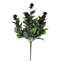 Berry Ficus Bush