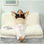 Canapé-lit Bean Bag-1088624808