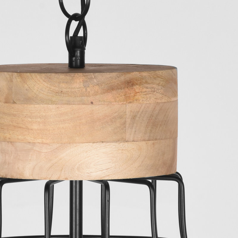 Alisa 1 - Light Dome Pendant
