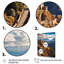 «Espagne Castle Sierra», reproduction sur toile-91284429-91284424