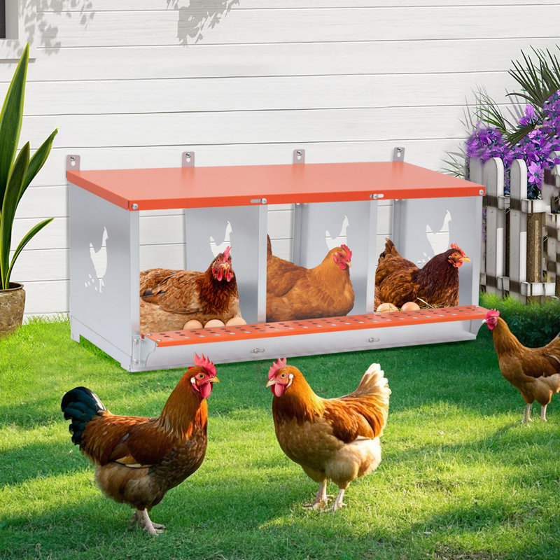 Boîte de nidification en métal à 3 compartiments pour poules / canards, collecte et assemblage facile des œufs