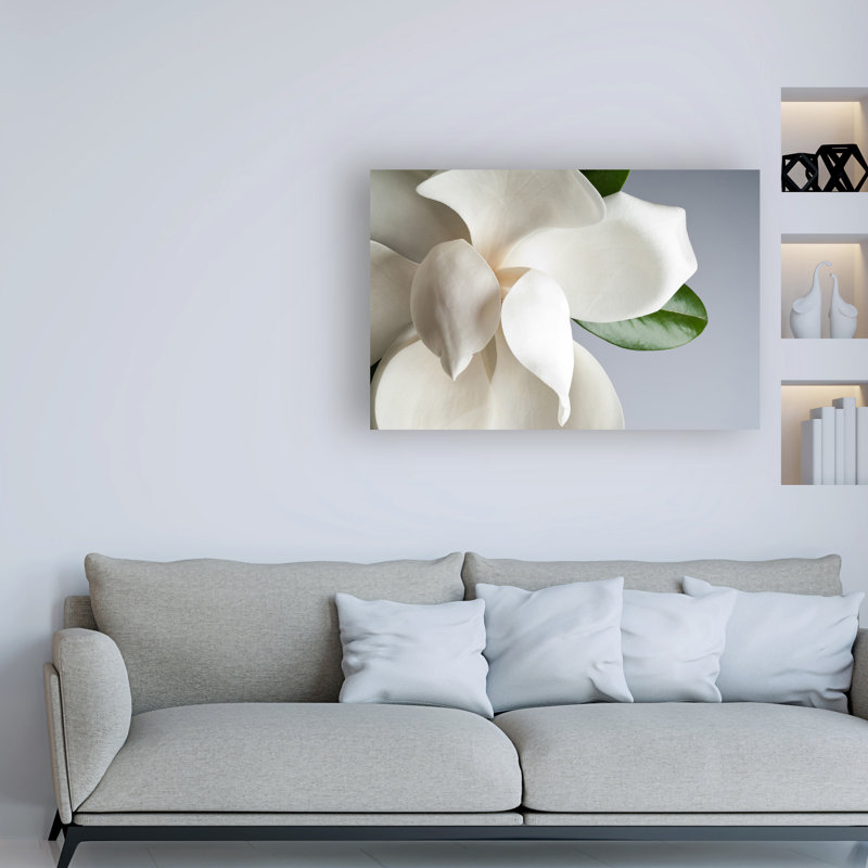 «Magnolia White and Gray» par PhotoINC Studio - reproduction de photo sur toile
