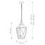 Barnnett Outdoor Hanging Lantern
