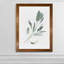 « simple sage i »-cadre photo imprimé sur verre-343747230-343747219