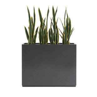 Wayfair  Extra Large Pot Planters You'll Love in 2024