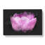 Lilac Pink Tulip Flower - Wrapped Canvas-56642195
