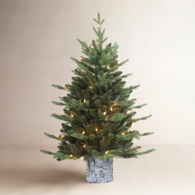 36' Lighted Artificial Pine Christmas Tree