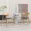 Chaise de salle à manger rétro-252332969-252332968