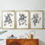 «Growing Leaves IV», impression encadrée sur mesure de qualité supérieure - 3 pièces-806555158-806555153