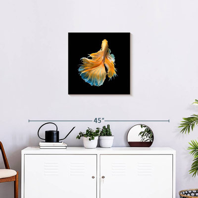 Brampt Yellow Fighter Fish Grandiose
