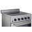 Prestige 23.5" 4 element 2.3 cu. ft. Freestanding Electric Glass Top Range with Convection Oven