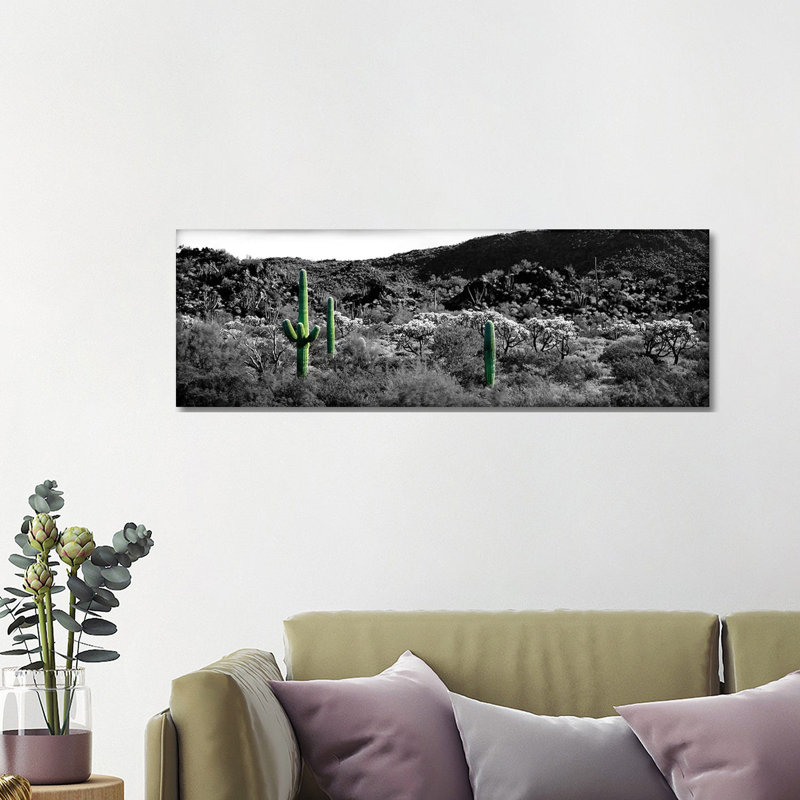 Panoramic Images by Panoramic Images - Wrapped Canvas Panoramic Gallery-Wrapped Canvas Giclée, 40.64 cm H x 121.92 cm W