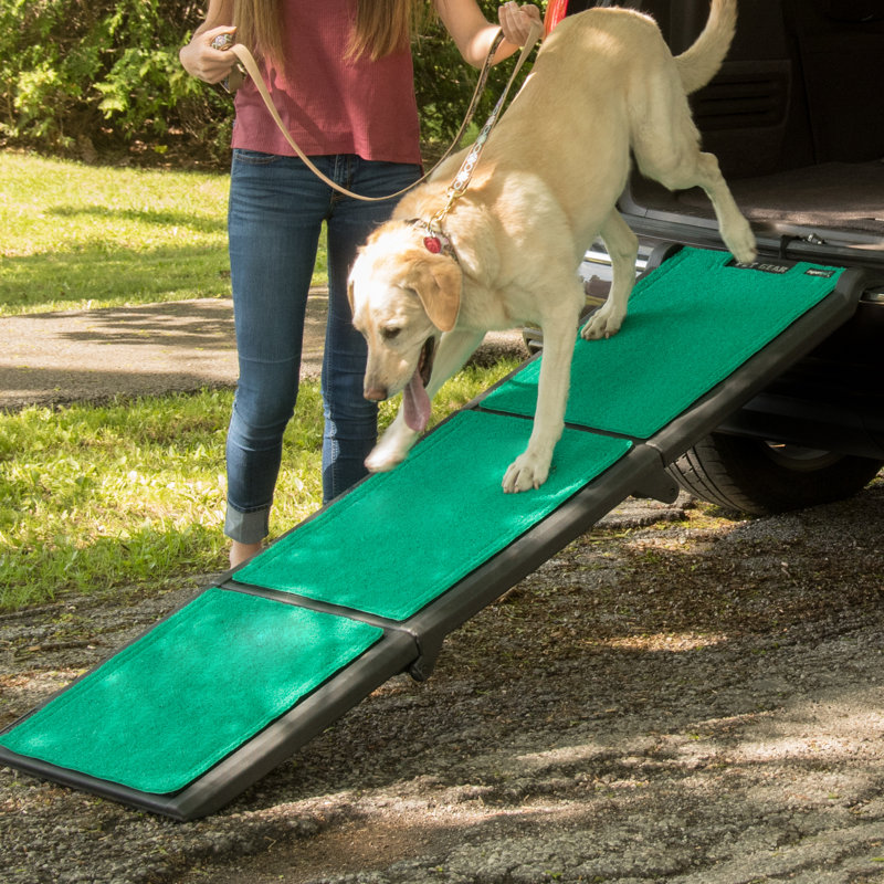 Rampe pour animaux multiples 71 po Supertrax