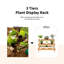 Brekka Wood Plant Stand