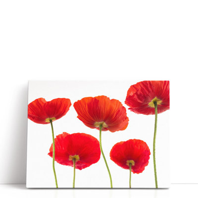 Cinq coquelicots - reproduction d'art sur toile