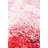 Anyka 160cm X 230cm Area Rug