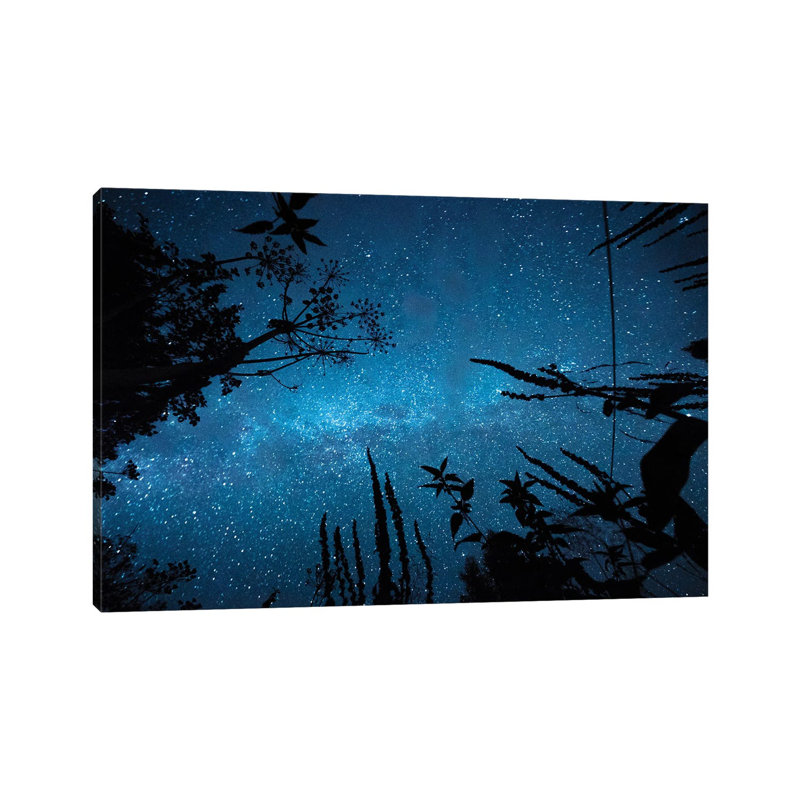 Night Magic by Mateusz Piesiak - Wrapped Canvas Print, 66.04 cm H x 45.72 cm W x 1.91 cm D