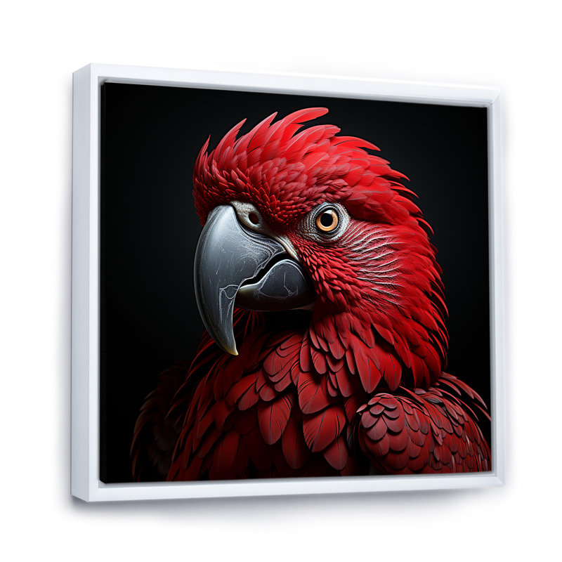 Crimson Elegance, perroquet tropical encadré sur toile, Cadre flottant blanc, H 30 po x l 30 po