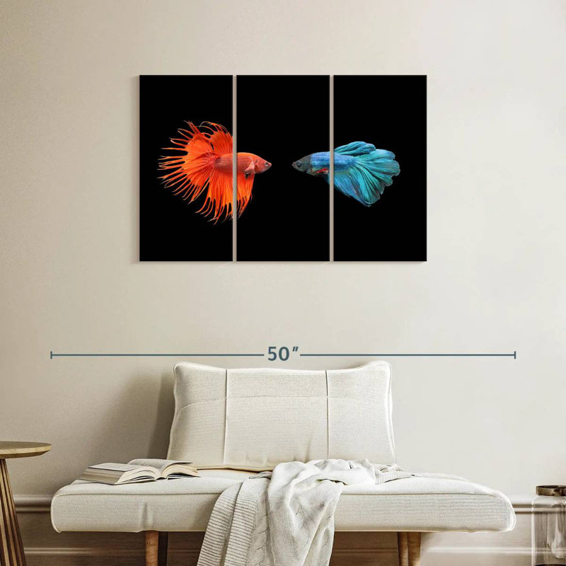 Brampt Betta Fish Meet, 24" H x 38" W