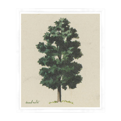 Forest Green Print