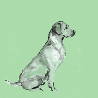 A Very Pop Modern Dog V by Cartissi - Wrapped Canvas Painting