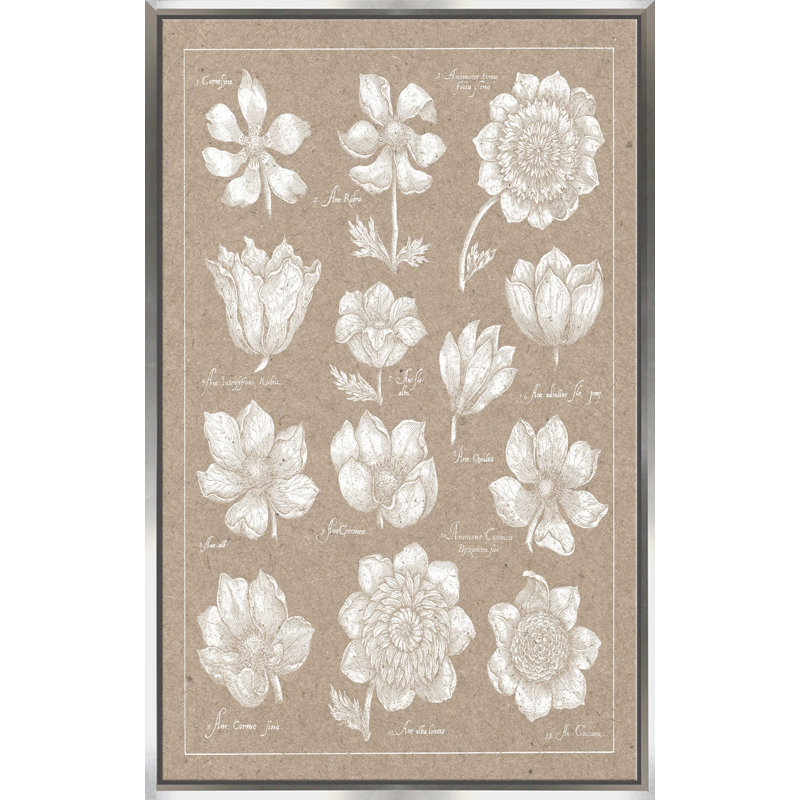 " Anemone Plate I " Painting Print, 27.5" W x 43.5" H, Silver Framed