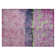 Machine Washable Indoor/Outdoor Cinead ACN1716 Blush Rug