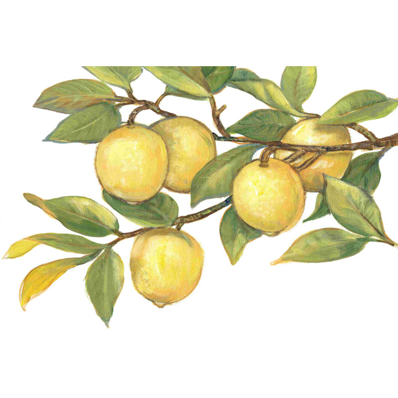 Ripe For Cueillette I, L 30 po x H 20 po