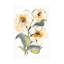Art mural sur toile «Bachelor coquelicot I» par Bachelo-101097911