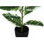 Pot en polypropylène (PP) 26,5 po Mattson