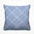 Bleuet des champs