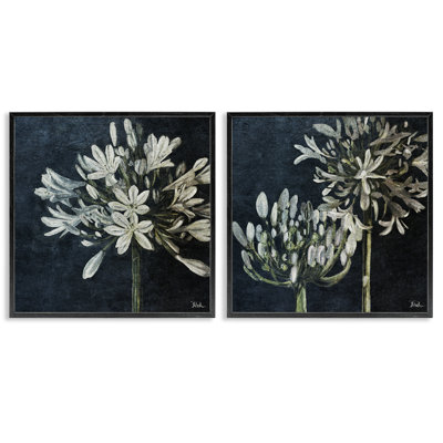 «Blossoming Flower Stem», ensemble de 2 giclées sur papier par Patricia Pinto