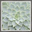 Seamless Patterns - Single Picture Frame Painting-626365631